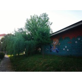 Лето 2017 - 14.jpg